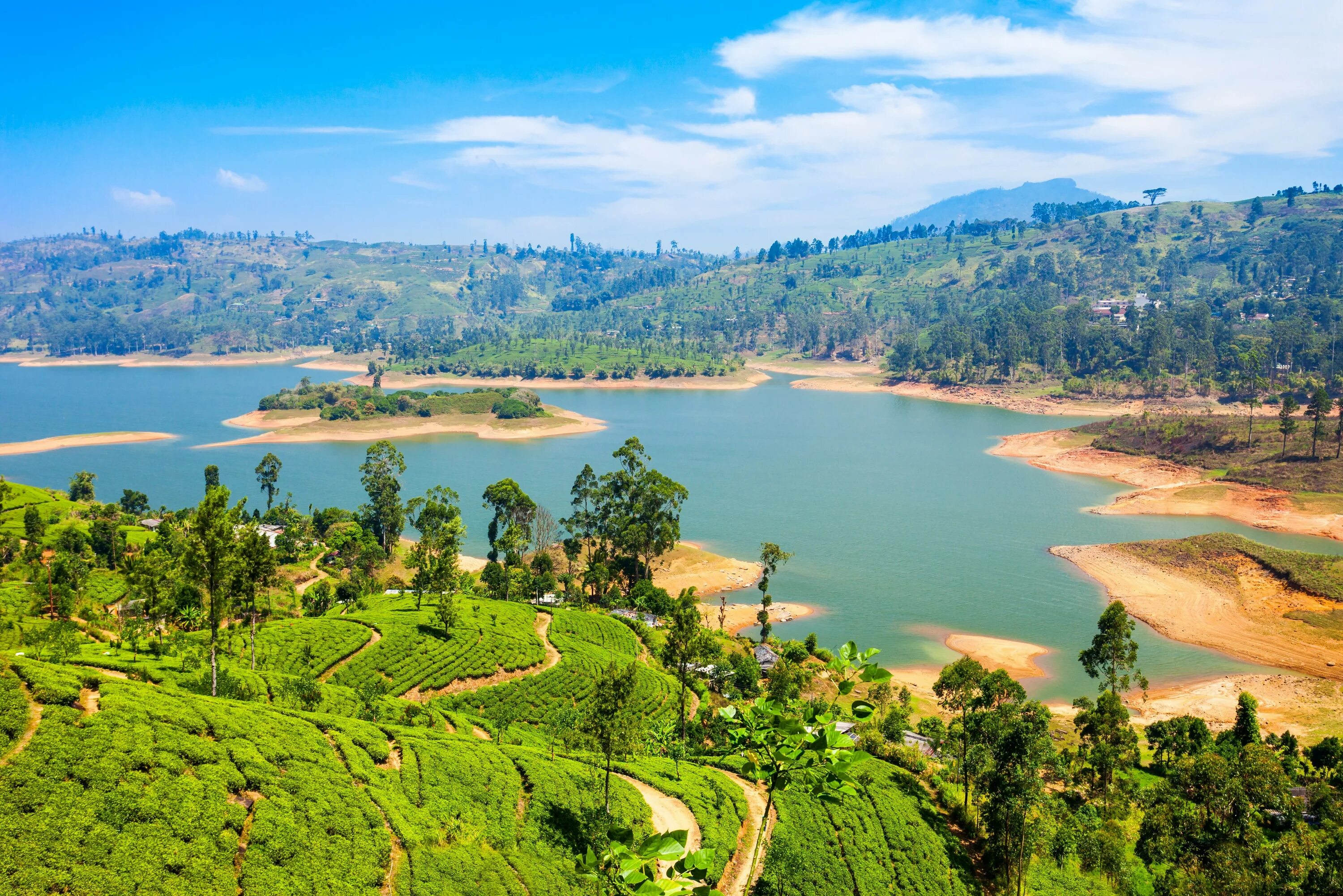 Нувара Элия озеро. Озеро Грегори Шри Ланка. Озеро Цейлон. Nuwara Eliya Шри Ланка.