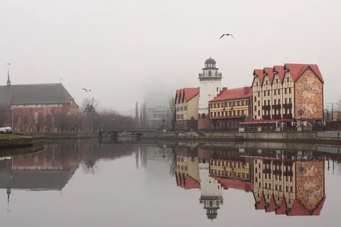 Вилладж калининград