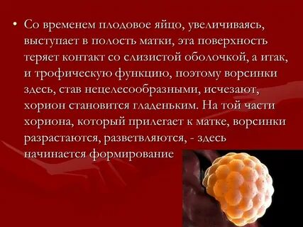 Физиология беременности