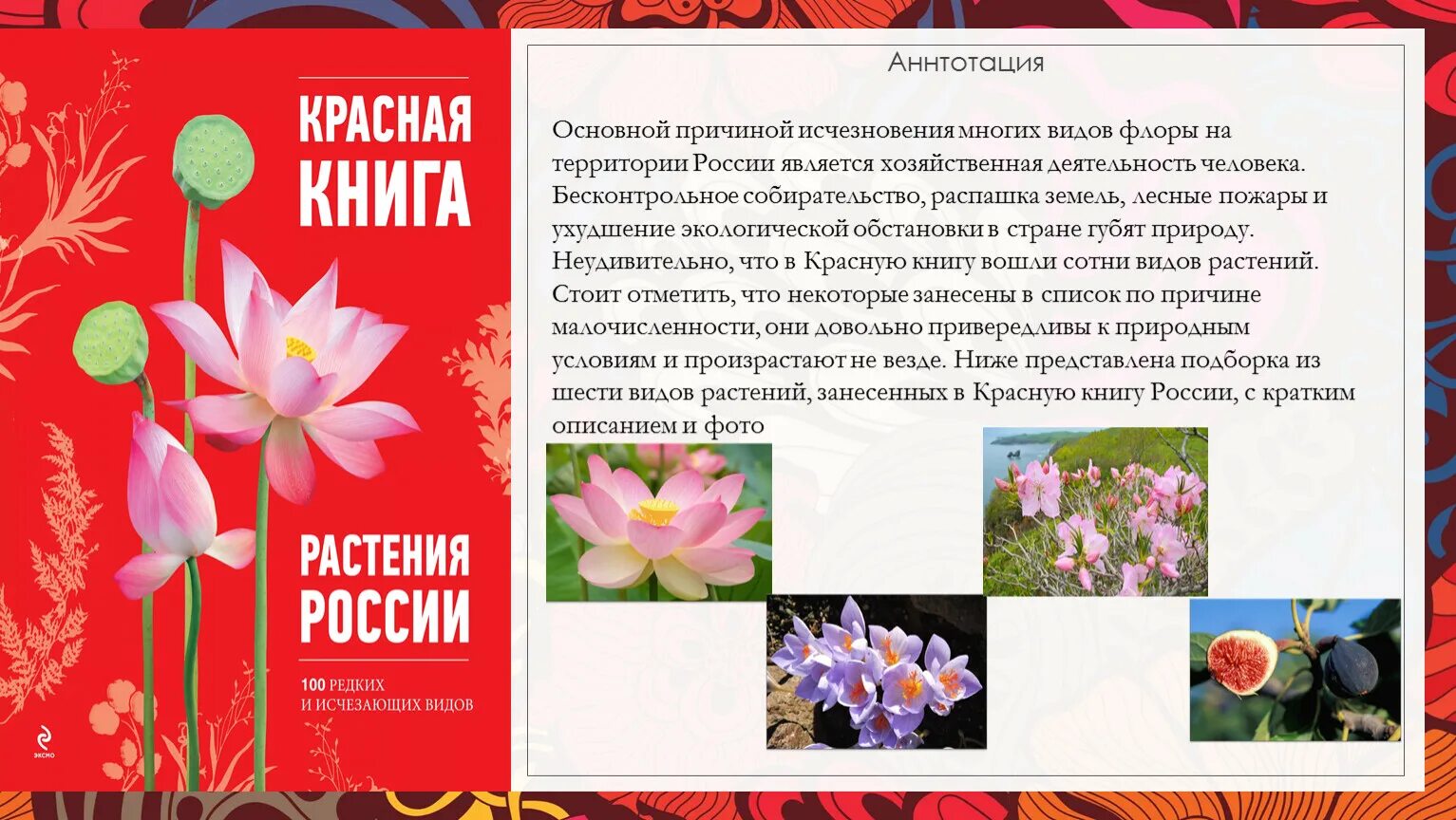 Растения красной книги России. Цветы из красной книги России. Исчезающие растения из красной книги. Красная книга растения для детей. Список редких растений