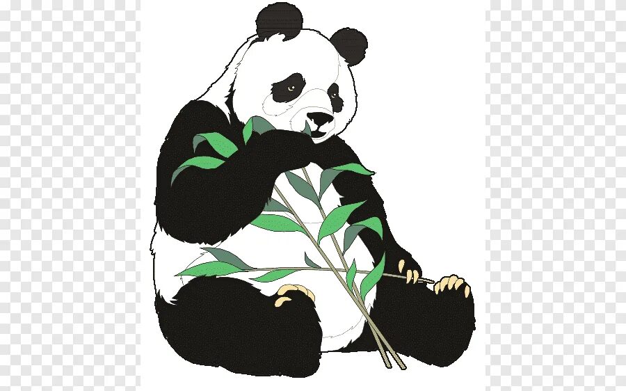 Панда собирает в круг. Панда. Панда вектор. Панда Векторная иллюстрация. Панда на прозрачном фоне.
