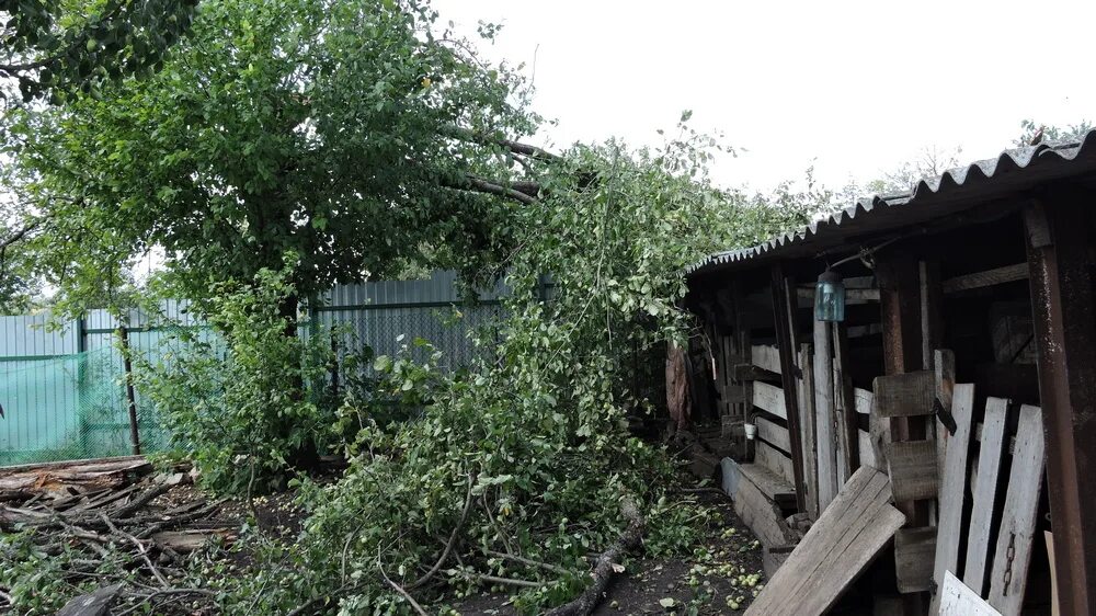 Талы воронежской области кантемировский район. Село Талы Воронежская область. Талы деревня. С Талы Воронежская обл Кантемировский р-н. Дом культуры с.Талы Кантемировского района.