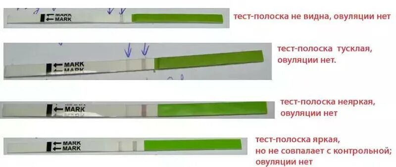 Сколько полосок показывает тест на овуляцию. Тест полоски для электронного теста на овуляцию. тест полоска для определения времени овуляции. тест полоски для определения овуляции результат. тестовая полоска на тесте на овуляцию.