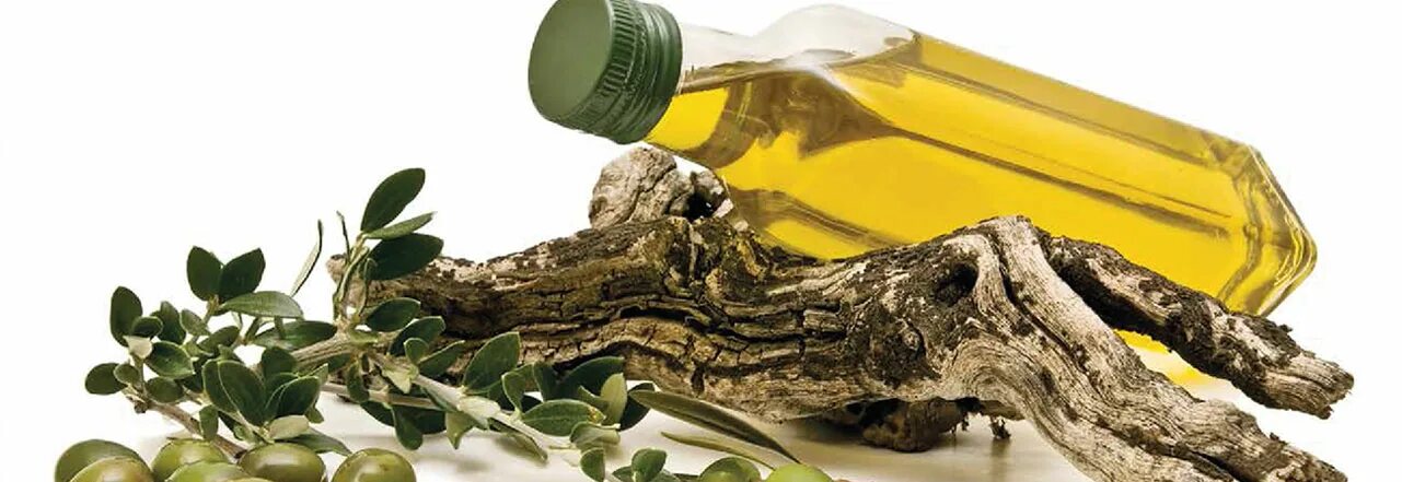 Оливковое масло Olive Tree. Масло оливковое «Olive Tree”,500 гр.. Оливковое масло на белом фоне. Оливки и оливковое масло.