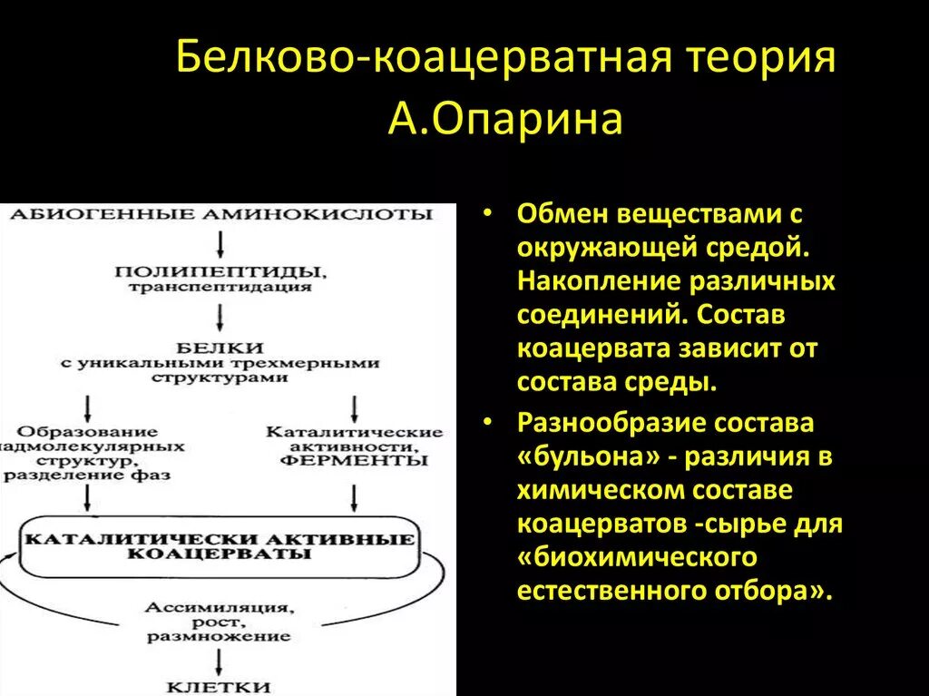 Этапы гипотезы опарина. Опарин коацерватная теория. Коацерватная теория возникновения жизни Опарина. Белково-коацерватная теория Опарина схема. Три этапа теории Опарина.