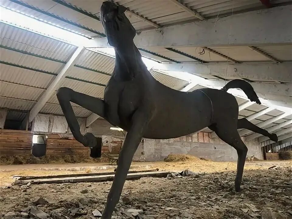 Обряд женщина в коне. Оригинальные фигуры коня. Лошадь за миллион. Неизвестный лошади скульптурный. Женщина в статуе коня.