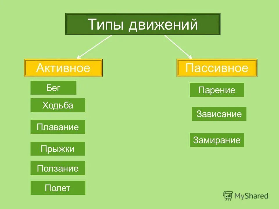 Движение 6 класс. Виды передвижения. Виды движений человека. Способы передвижения человека. Способ и Тип передвижения животных.