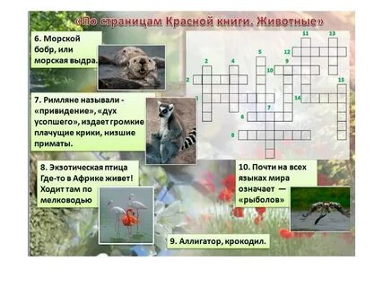 Вопросы на тему красная книга