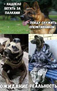 Пойдем жить