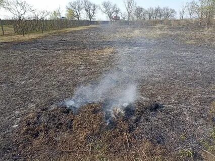 Уборка сухой растительности