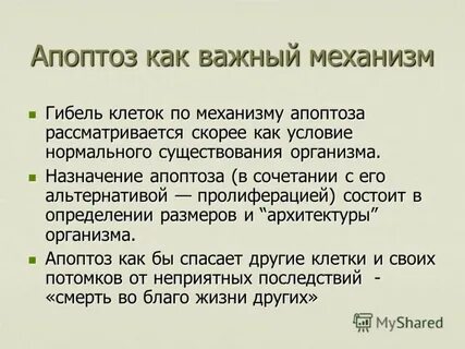 Полностью тему