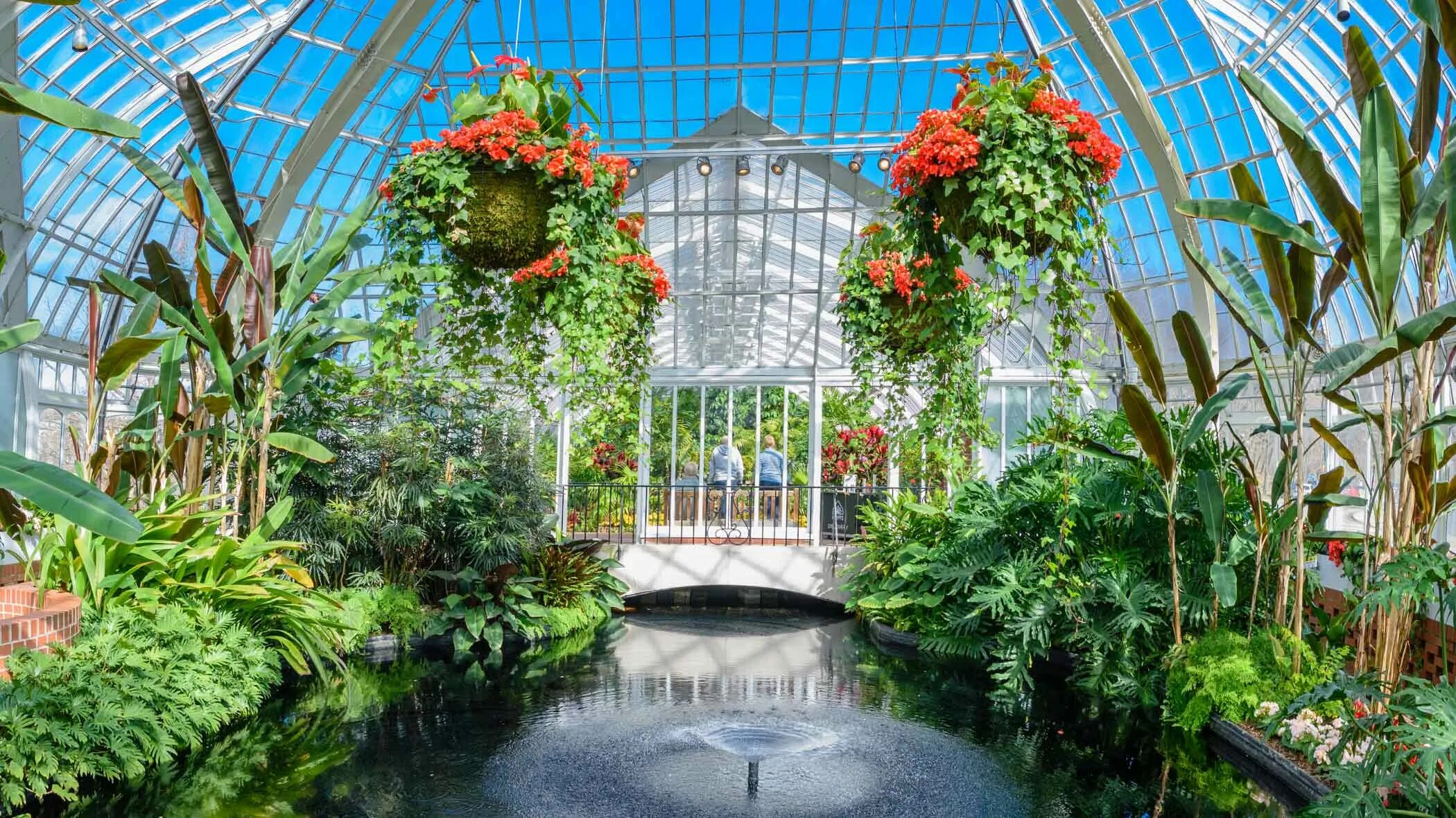 Падуя Ботанический сад оранжерея. Phipps Conservatory and Botanical Gardens Питтсбург. Ботанический сад Новосибирск оранжерея. Королевский Ботанический сад Кью оранжерея внутри.