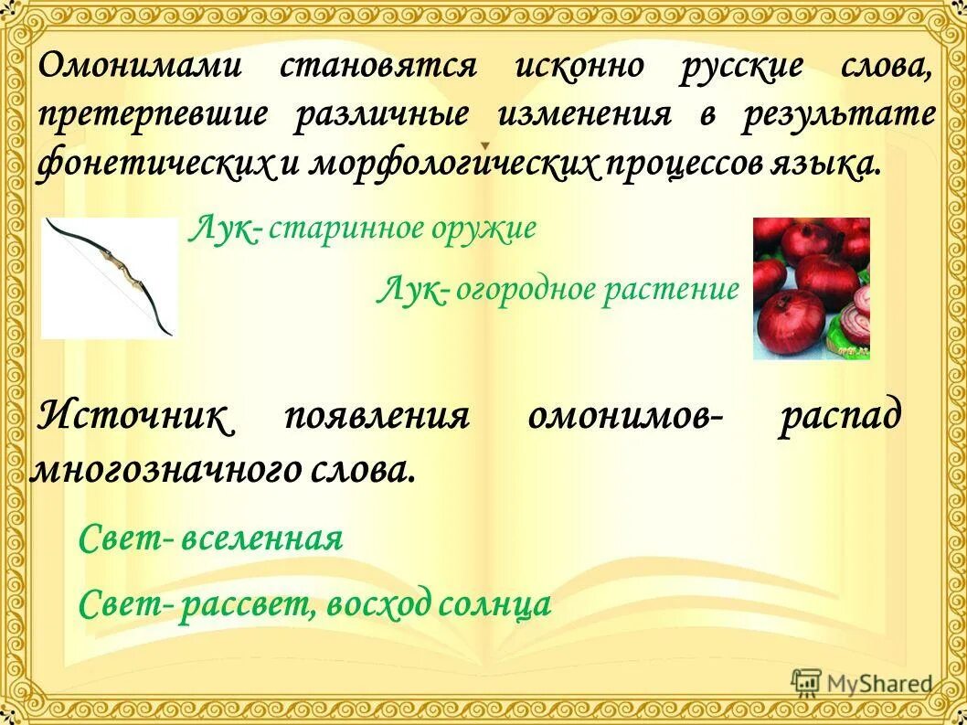 Что такое омонимы примеры. Омонимы. Омонимы презентация. Слова омонимы. Слова омонимы примеры.