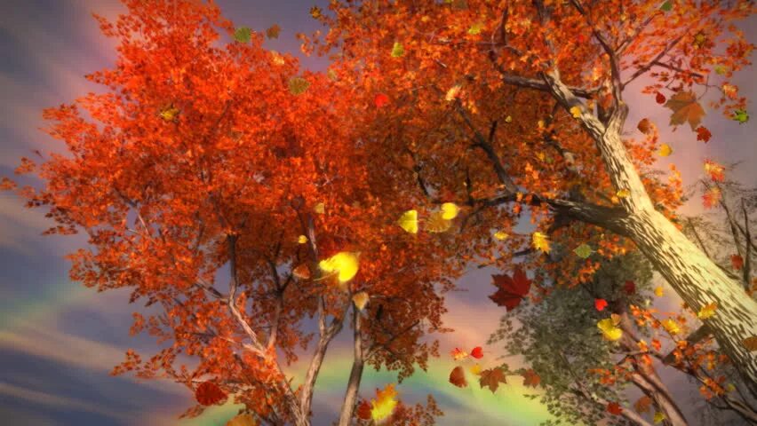 In autumn leaves fall from the trees