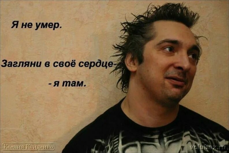 Король и шут живи. Король и шут живи