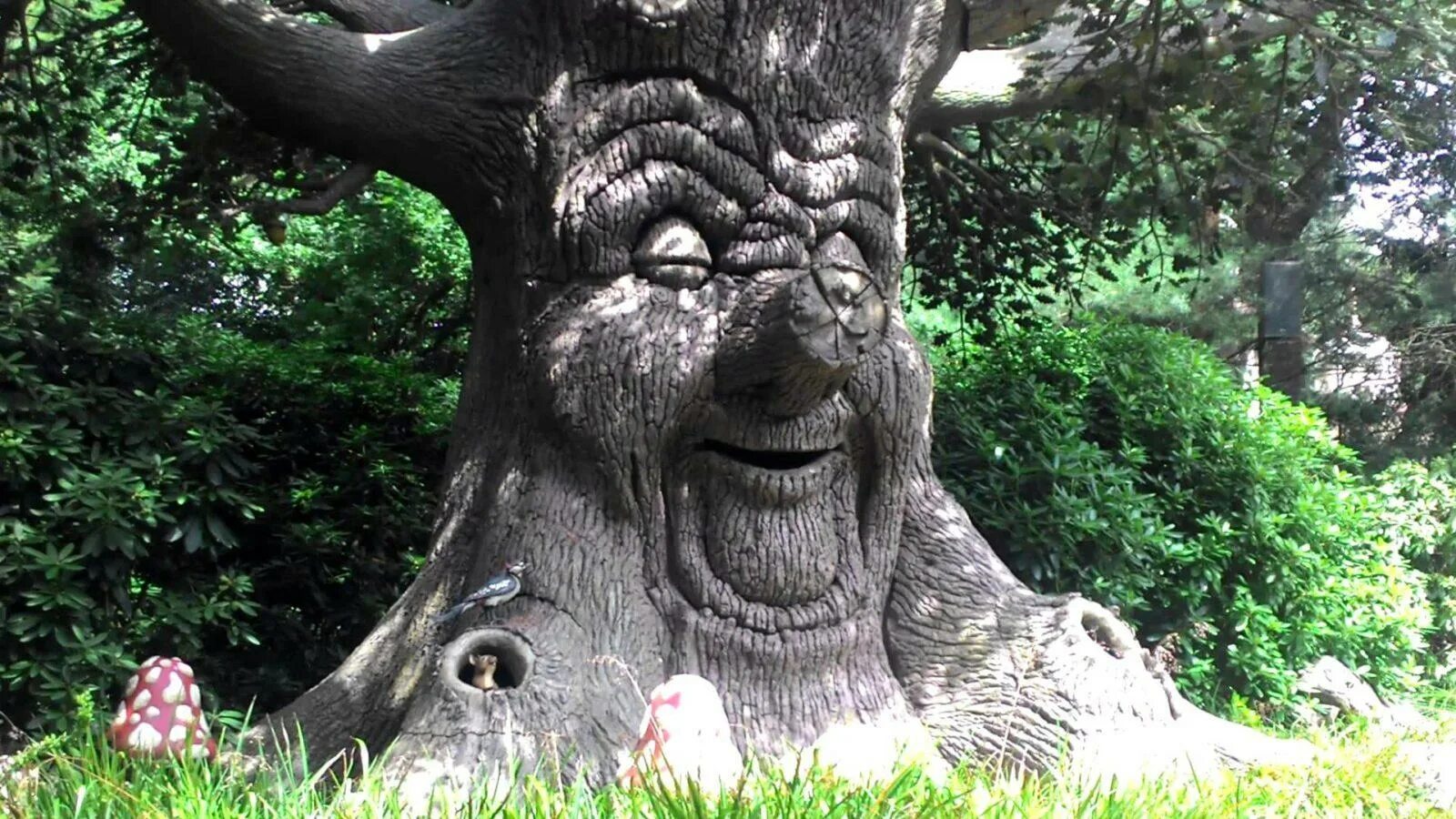 Картинки лицо дерево. Эфтелинг дерево. Говорящее дерево Эфтелинг. Живое дерево в парке Эфтелинг. Дерево с лицом.