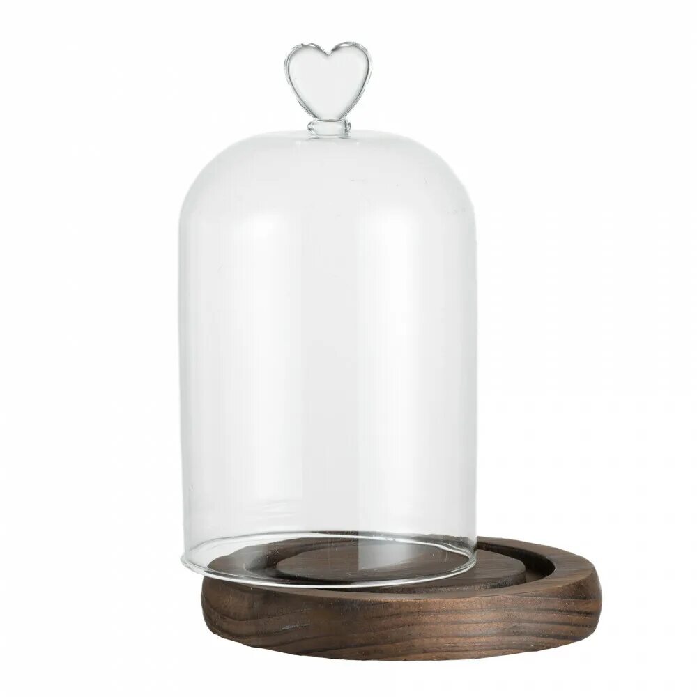 Купол церковь псков. Купол стеклянный на подставке. Базилика монмартр. Купол сердца. Купол сердца.