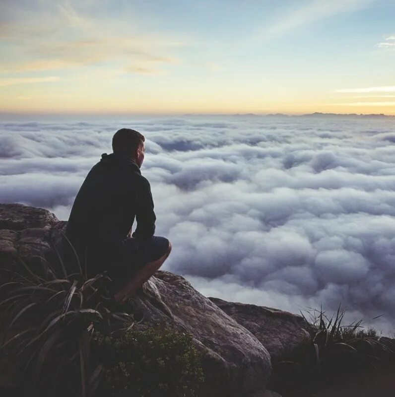 Никишов богданов биология 9 класс. Картинки на аву для парней. Тревога спортсмена. Фото на аву со смыслом. Мужчина солнце.