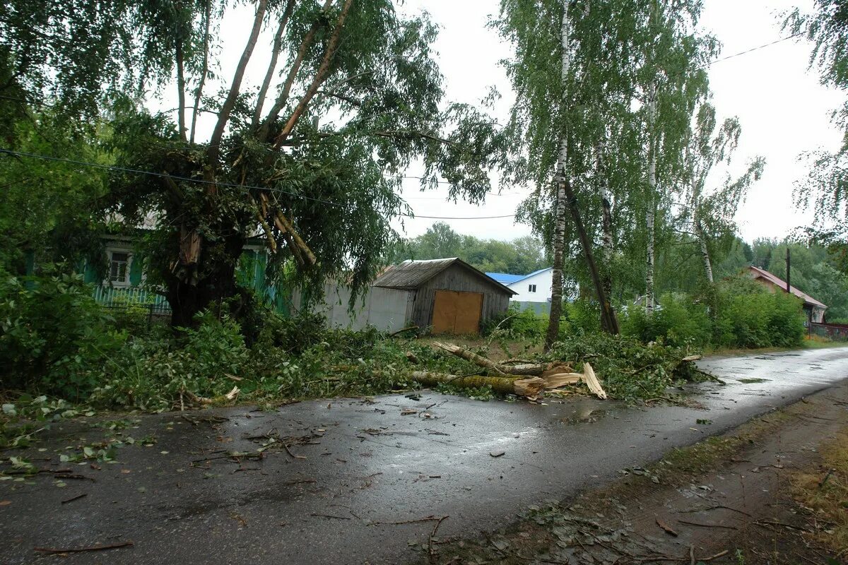 Ураган в рязани. Ураган в рязани. Деревья рязани. Костычева 11 рязань. Ураган в рязани сегодня происшествия.