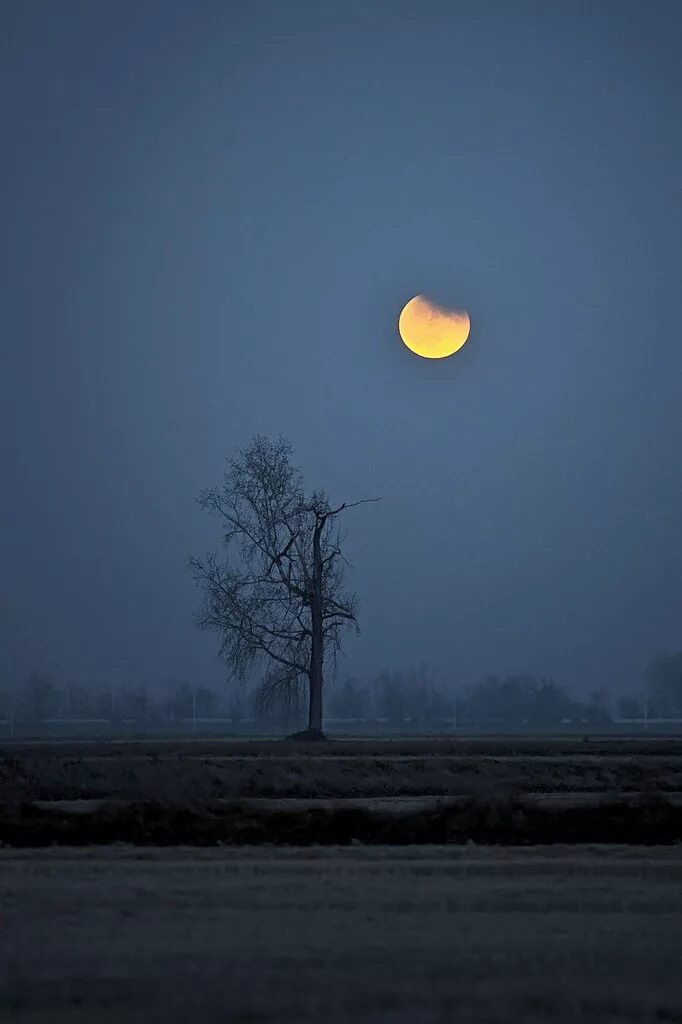 Lonely moon