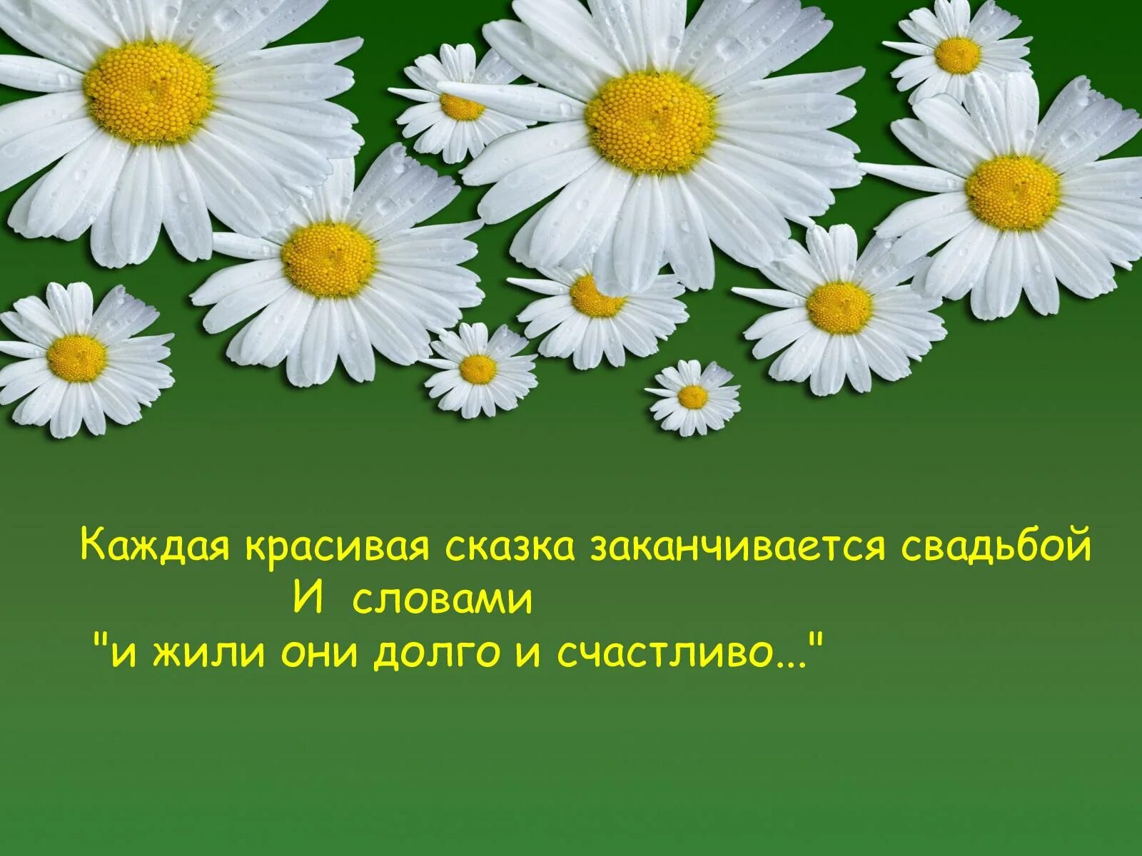 С днем семьи. 8 Июля день семьи любви и верности. День семьи любви и верности Ромашка.