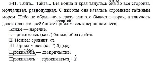 Без конца и края тянулась. Русский язык упражнение 341. Русский 8 класс номер 341. Русский язык 6 класс упражнение 341. Русский язык 7 класс упражнение 341.