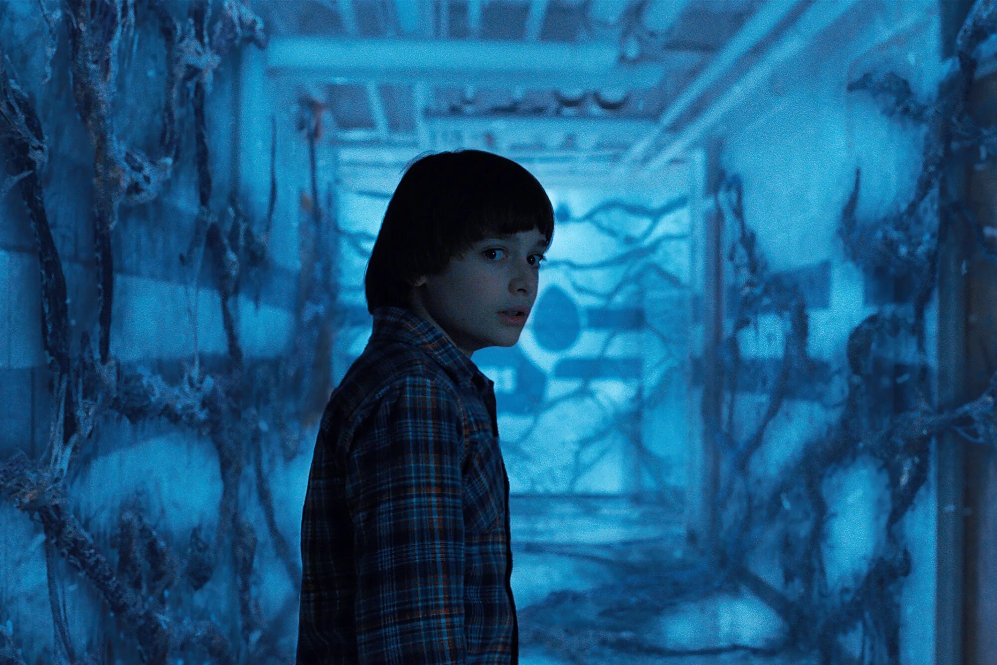 Эдди марсан очень странные дела 4. Очень странно. Очень странно. Уилл из осд. Stranger things 1.