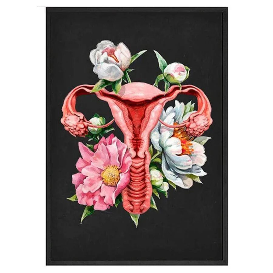 i?id=932111ff90a319f579969c388d3280c4_l-