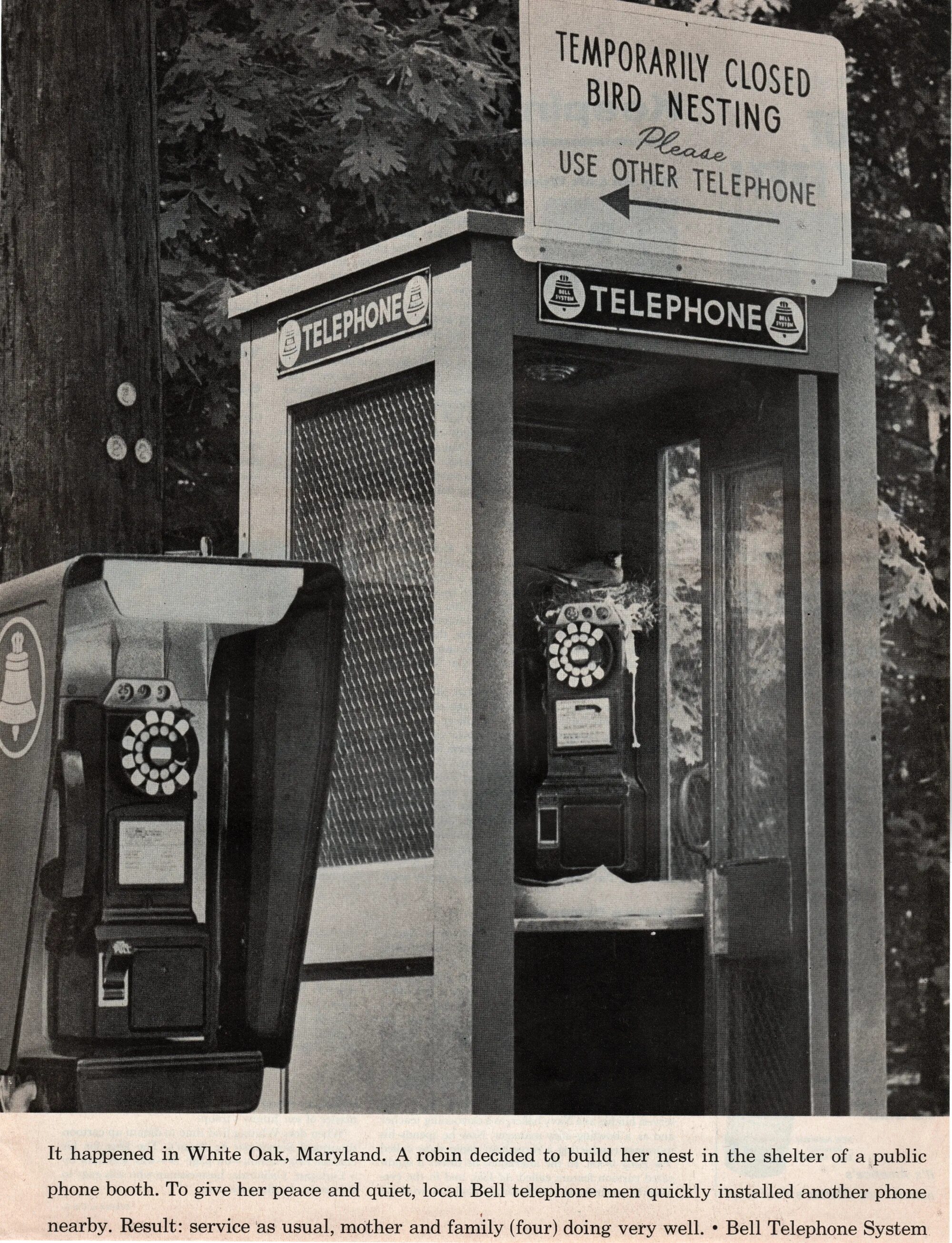 Телефонная будка Япония 1961. Телефон 1940 года. 1940 Год мобильный телефон. Ретро public телефон. Внезапно появилась реклама на телефоне