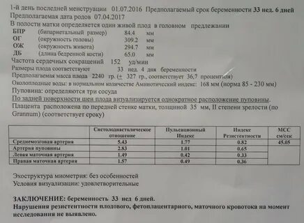 Сколько весит плацента