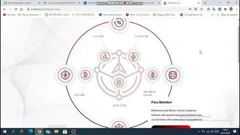 Notcoin как выводить