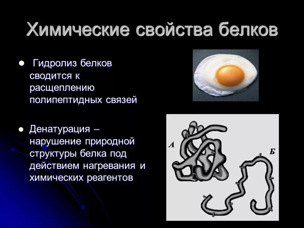 Химические свойства белков гидролиз денатурация. Белки химические свойства денатурация. Химические свойства белков (денатурация, цветные реакции. Белки структура и химические свойства.