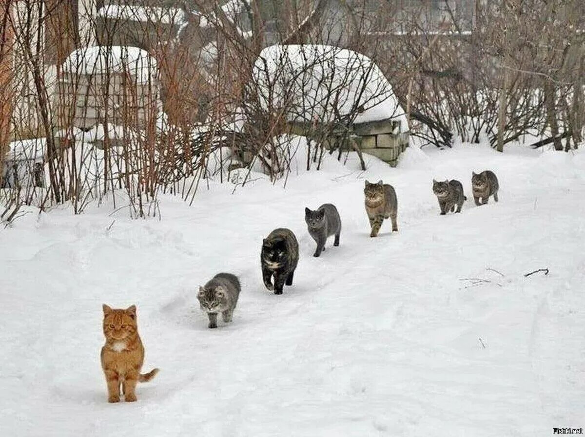 Нужно быть суровым