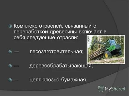 Какие отрасли входят в лесную промышленность