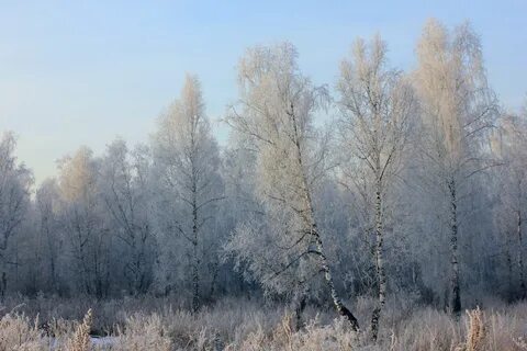 Первый иней в 2024 году