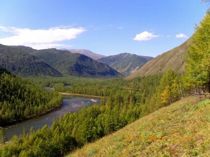 Тофалария