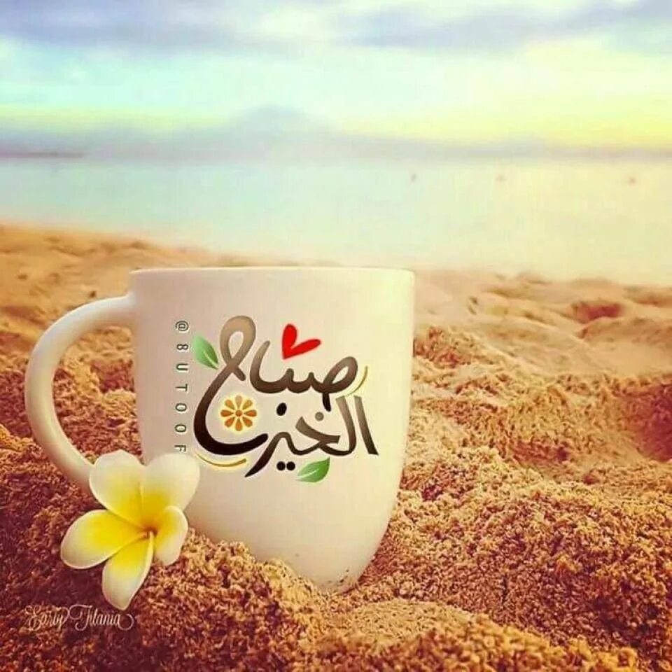 Переведи доброе утро. Доброе утро на арабском. Пожелания с добрым утром на арабском языке. Доброе утро по арабски. Пожелания хорошего дня на арабском.