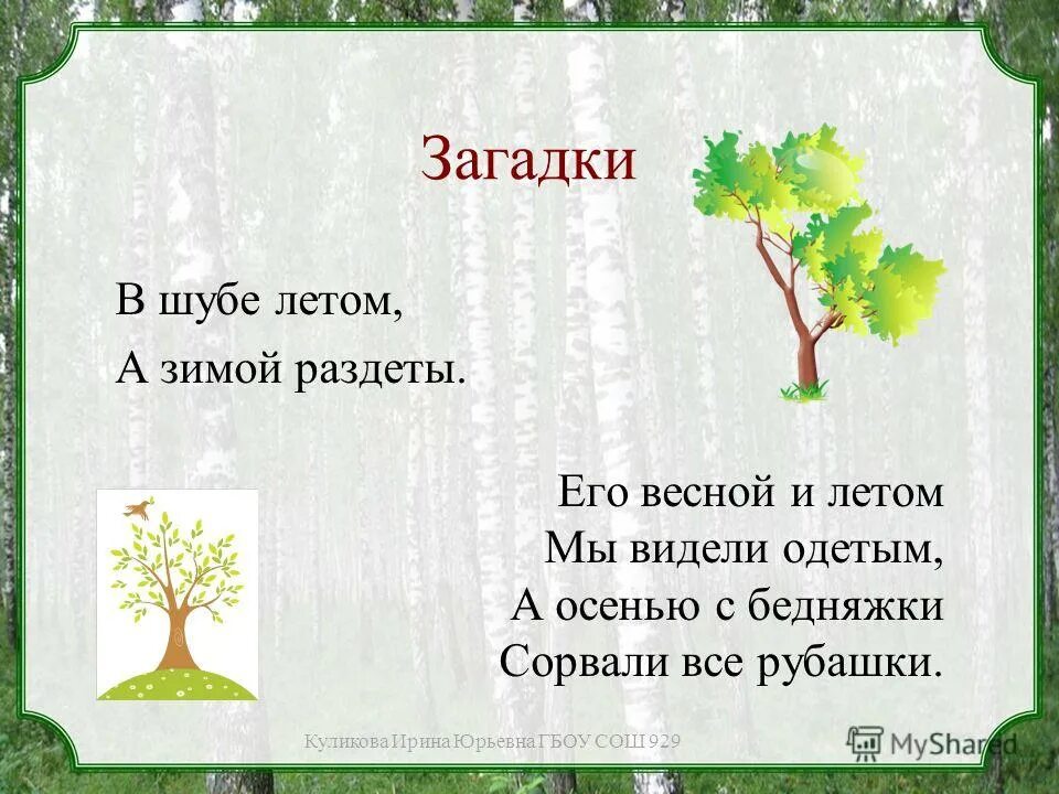 Загадка про дерево для детей. Когда человек бывает деревом загадка 5 букв. Загадка про дуб для детей. Когда человек бывает деревом 1 класс. Какое слово всегда звучит неправильно.