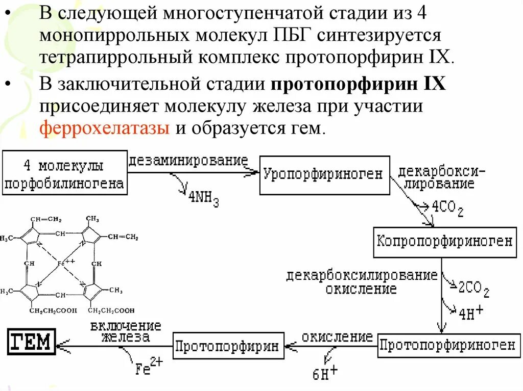 Метаболизм эритроцитов биохимия. Схема распада гемоглобина биохимия. регуляция распада гема. синтез и распад гемоглобина биохимия. синтез гема биохимия.