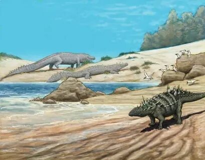 As we walked around the prehistoric