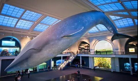 We this museum