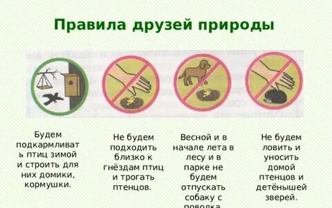 Правила друзей природы 3 класс окружающий мир
