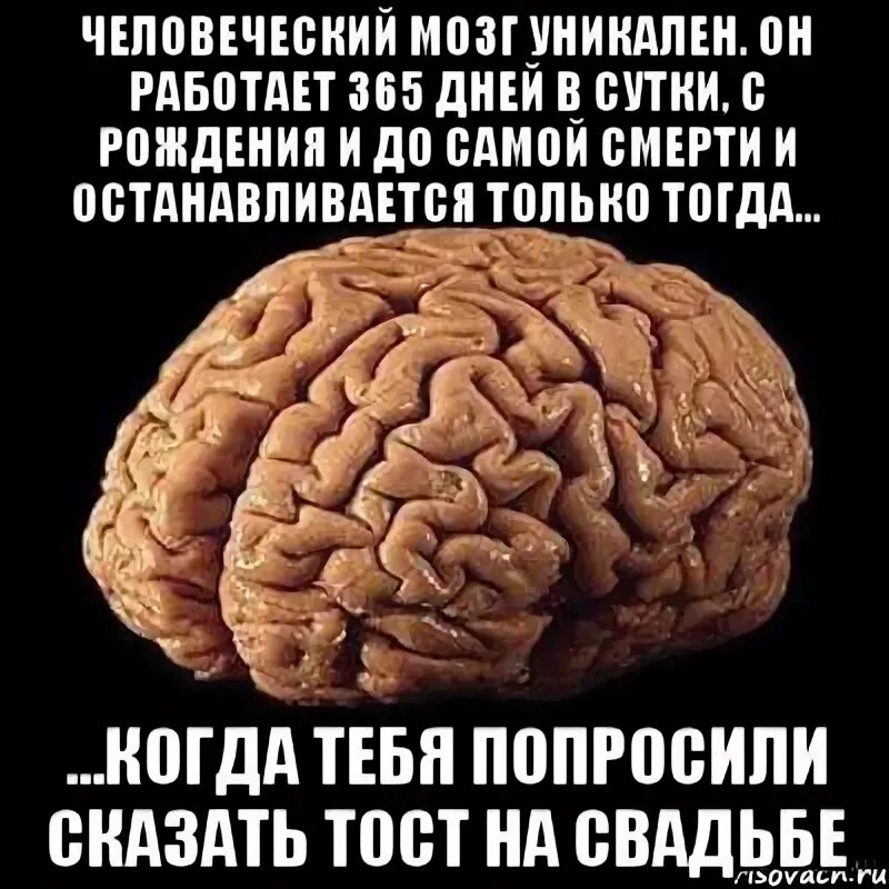 Мемы про мозг. Мозг работает Мем. Мемы про Православие головного мозга. Мозг на ножках Мем.
