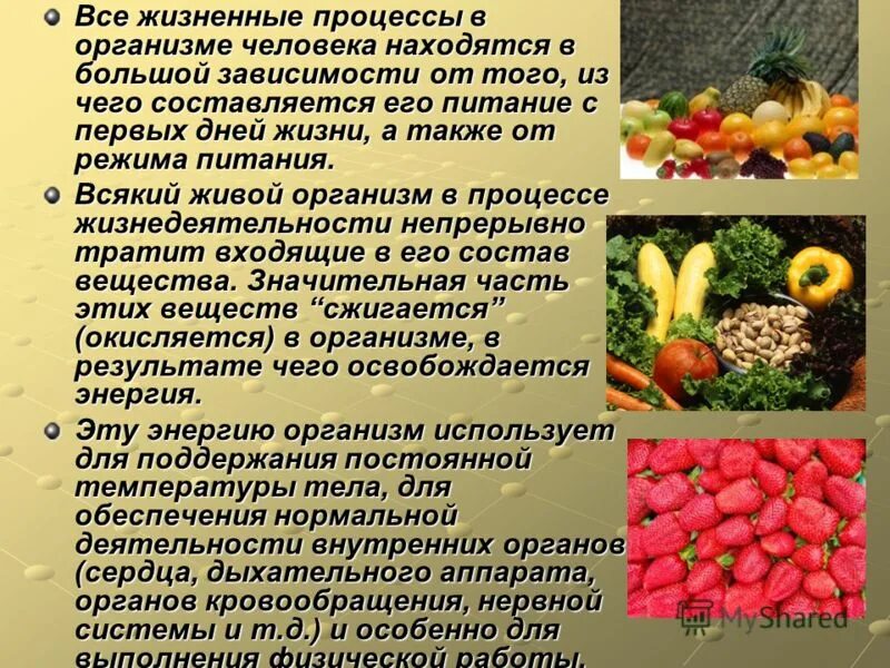 роль минеральных веществ в питании человека. роль минеральных веществ в питании человека. минеральные вещества и их роль в обмене веществ в организме. минеральные вещества их роль в питании. витамины минералы вещества.