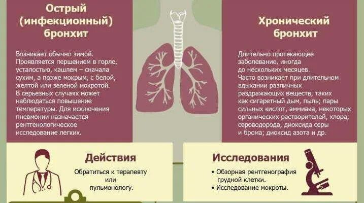 Выводит мокроту из бронхов у детей. Профилактика аллергического бронхита. Выведение мокроты и слизи из легких. Вывод слизи из бронхов. Бронхит симптомы и профилактика.