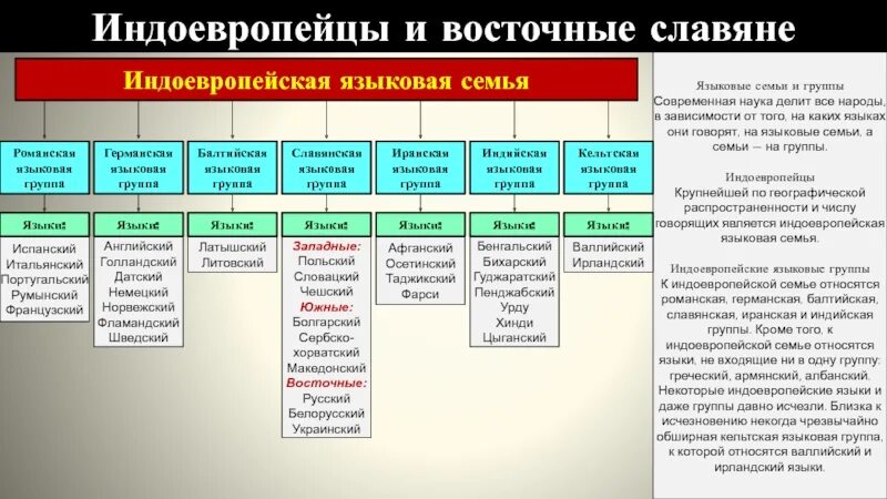 Индоевропейская языковая семья таблица. Языки индоевропейской семьи. Языковые семьи индоевропейская. Группы индоевропейской семьи языков таблица.