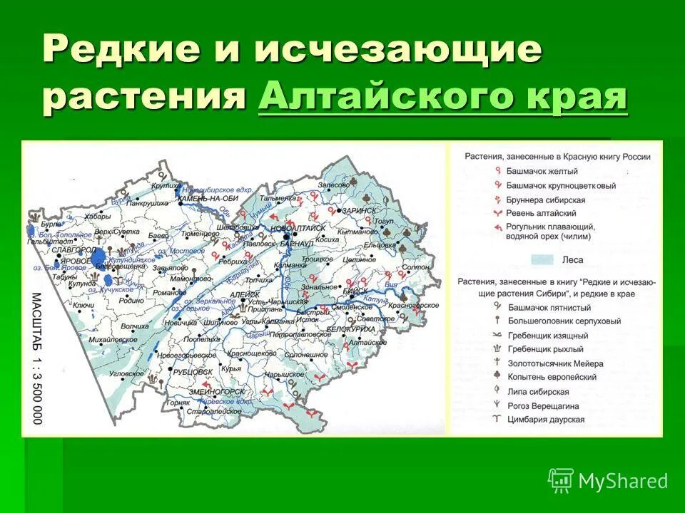 Какое время в алтайском крае