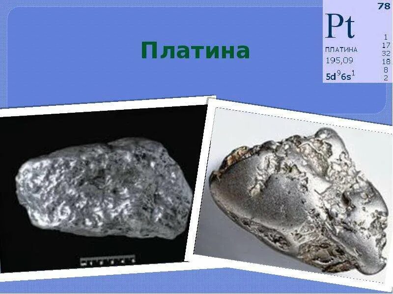 Платина одинаково. Платина элемент. Платина металл химический элемент. Платинваи химический элемент. Платина характеристика элемента.