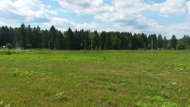 Кп святой источник 2 красивая земля. 13 соток на м2. Малое крутое шаховской район. В зем 2 5. В зем 2 5.