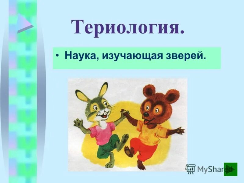 Териология это наука изучающая. Териология. Наука изучающая зверей. Наука изучающая млекопитающих.